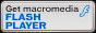 Download Flash Player